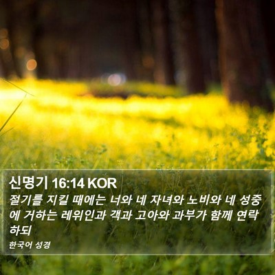신명기 16:14 KOR Bible Verse Image