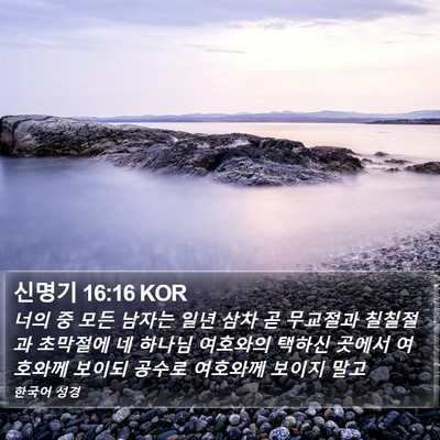 신명기 16:16 KOR Bible Verse Image