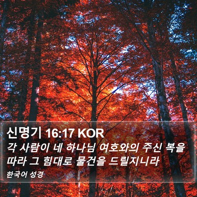 신명기 16:17 KOR Bible Verse Image