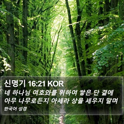 신명기 16:21 KOR Bible Verse Image