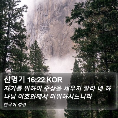 신명기 16:22 KOR Bible Verse Image