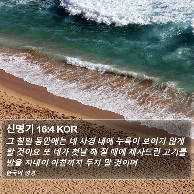 신명기 16:4 KOR Bible Verse Image