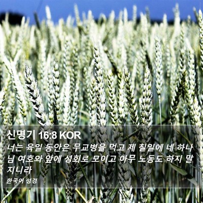신명기 16:8 KOR Bible Verse Image