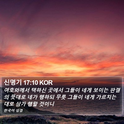 신명기 17:10 KOR Bible Verse Image