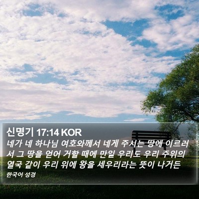 신명기 17:14 KOR Bible Verse Image