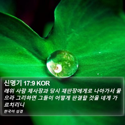 신명기 17:9 KOR Bible Verse Image