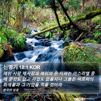 신명기 18:1 KOR Bible Verse Image