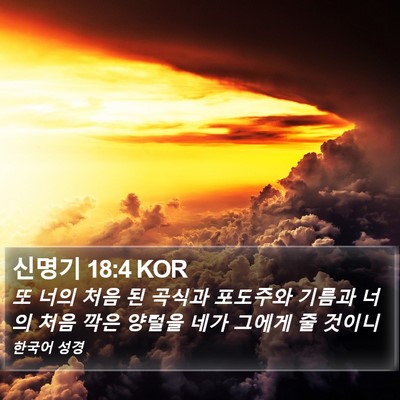 신명기 18:4 KOR Bible Verse Image