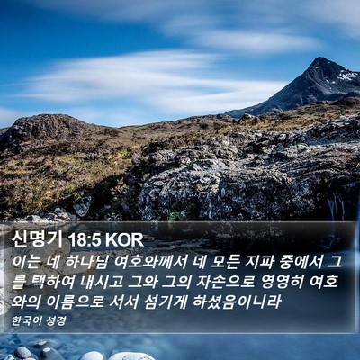 신명기 18:5 KOR Bible Verse Image