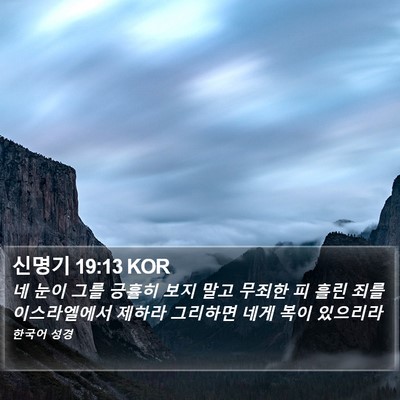 신명기 19:13 KOR Bible Verse Image