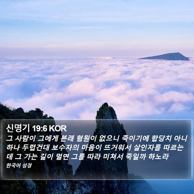 신명기 19:6 KOR Bible Verse Image