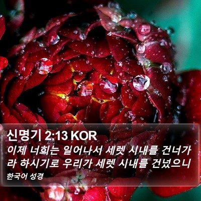 신명기 2:13 KOR Bible Verse Image