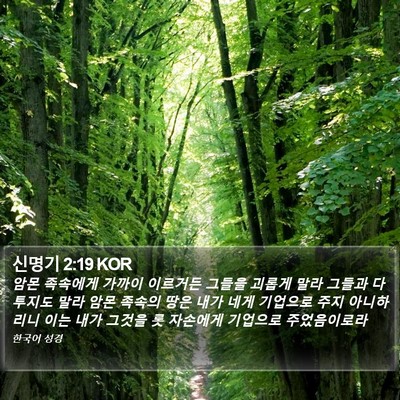 신명기 2:19 KOR Bible Verse Image