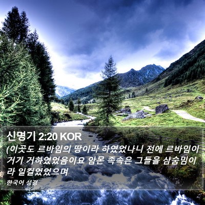 신명기 2:20 KOR Bible Verse Image