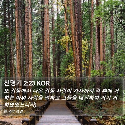 신명기 2:23 KOR Bible Verse Image