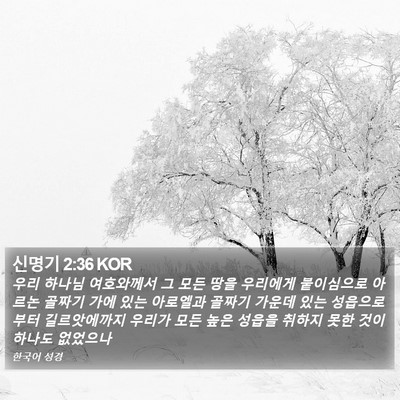 신명기 2:36 KOR Bible Verse Image
