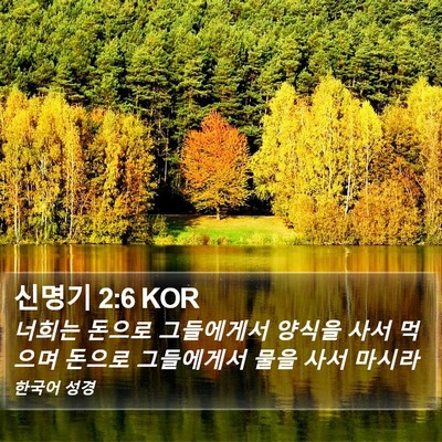 신명기 2:6 KOR Bible Verse Image