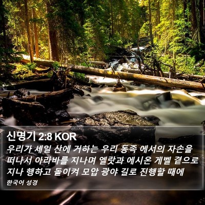 신명기 2:8 KOR Bible Verse Image