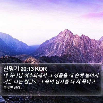 신명기 20:13 KOR Bible Verse Image