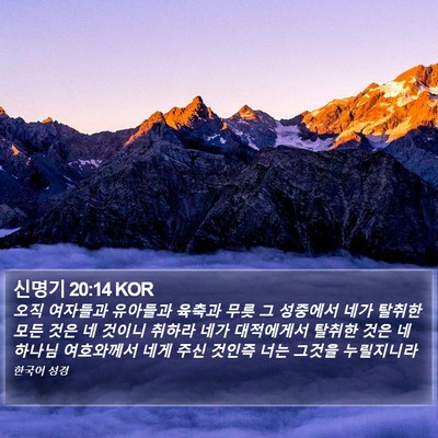 신명기 20:14 KOR Bible Verse Image