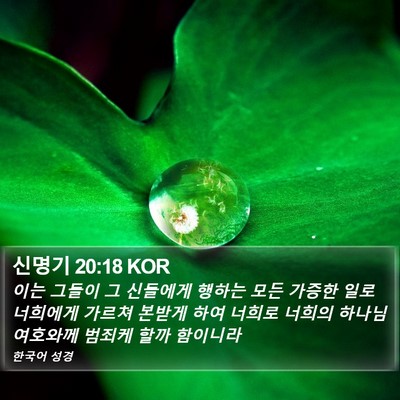 신명기 20:18 KOR Bible Verse Image