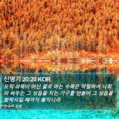 신명기 20:20 KOR Bible Verse Image
