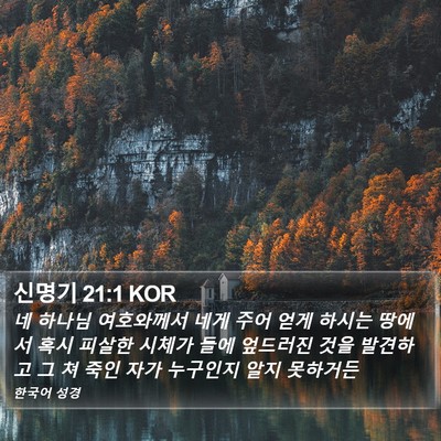 신명기 21:1 KOR Bible Verse Image