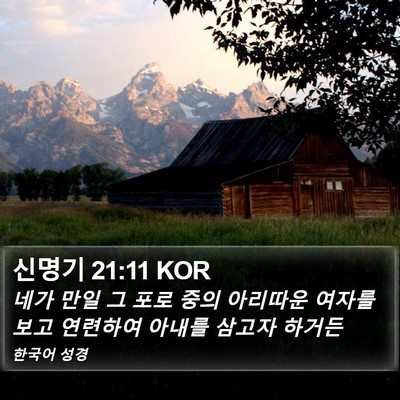 신명기 21:11 KOR Bible Verse Image