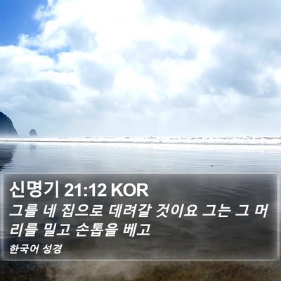 신명기 21:12 KOR Bible Verse Image