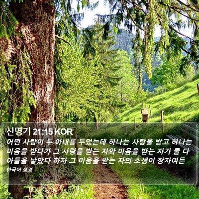 신명기 21:15 KOR Bible Verse Image