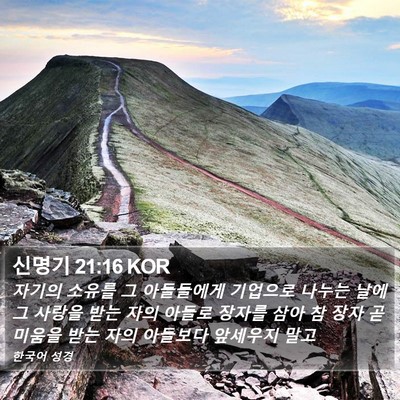 신명기 21:16 KOR Bible Verse Image