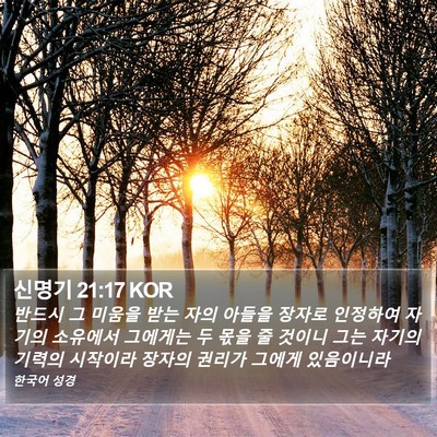 신명기 21:17 KOR Bible Verse Image