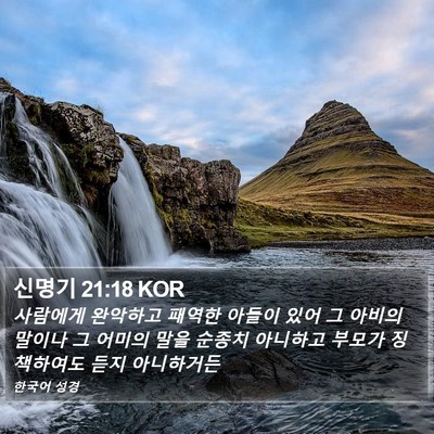 신명기 21:18 KOR Bible Verse Image