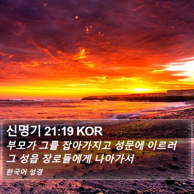 신명기 21:19 KOR Bible Verse Image