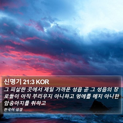 신명기 21:3 KOR Bible Verse Image