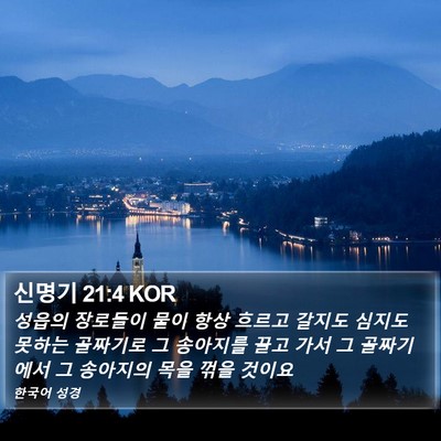 신명기 21:4 KOR Bible Verse Image