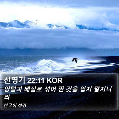 신명기 22:11 KOR Bible Verse Image