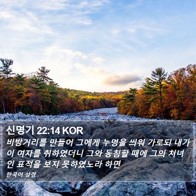 신명기 22:14 KOR Bible Verse Image