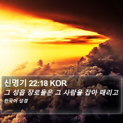 신명기 22:18 KOR Bible Verse Image