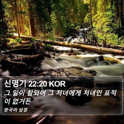 신명기 22:20 KOR Bible Verse Image