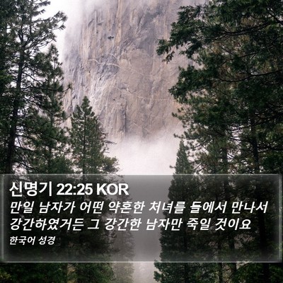 신명기 22:25 KOR Bible Verse Image