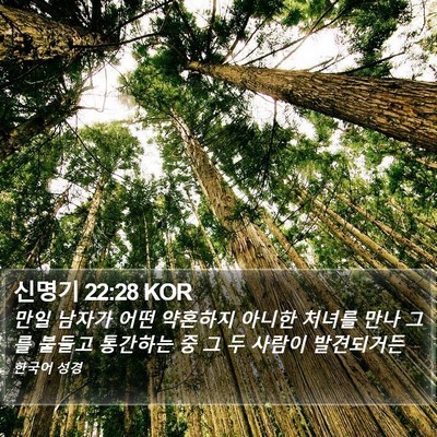 신명기 22:28 KOR Bible Verse Image