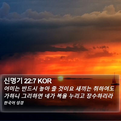 신명기 22:7 KOR Bible Verse Image