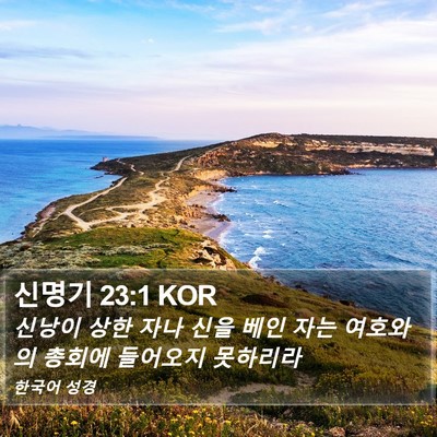 신명기 23:1 KOR Bible Verse Image