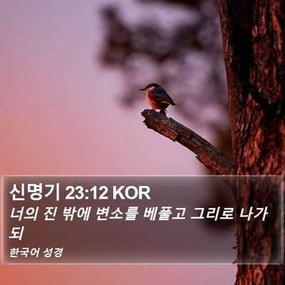 신명기 23:12 KOR Bible Verse Image