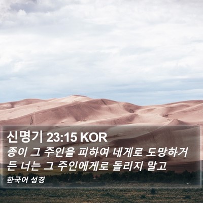 신명기 23:15 KOR Bible Verse Image