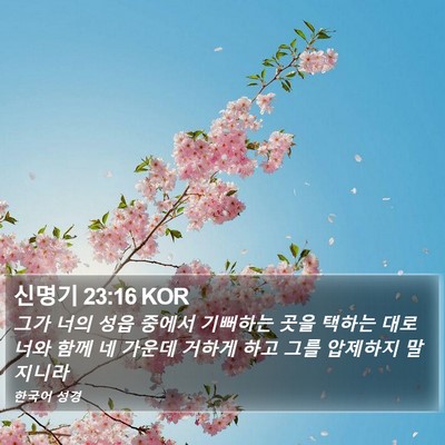 신명기 23:16 KOR Bible Verse Image