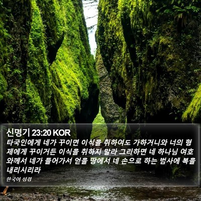 신명기 23:20 KOR Bible Verse Image