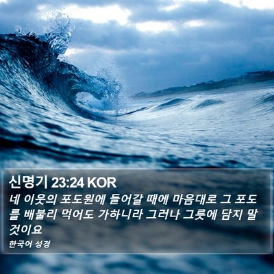 신명기 23:24 KOR Bible Verse Image