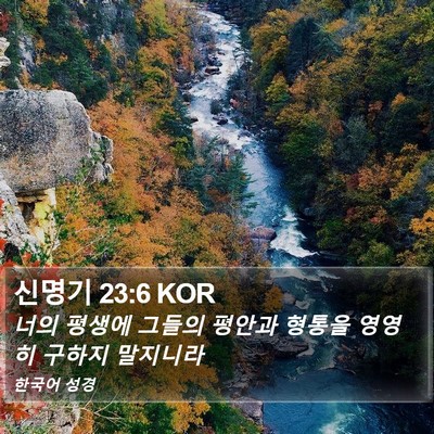 신명기 23:6 KOR Bible Verse Image